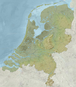 Szczegółowa mapa reliefu Holandii.