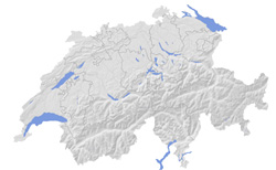Konturowa mapa reliefowa Szwajcarii.